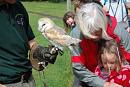 Click image for larger version. 

Name:	Hawk Trust Aug 09 084.JPG 
Views:	302 
Size:	32.1 KB 
ID:	16022