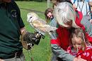 Click image for larger version. 

Name:	Hawk Trust Aug 09 084.JPG 
Views:	273 
Size:	145.9 KB 
ID:	16032