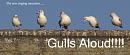 Click image for larger version. 

Name:	SH5268 -1011 10-Gulls Aloud TEXT.jpg 
Views:	404 
Size:	308.0 KB 
ID:	16297