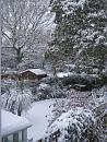 Click image for larger version. 

Name:	01. Snow.JPG 
Views:	406 
Size:	608.7 KB 
ID:	16428