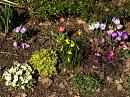Click image for larger version. 

Name:	Spring flowers.JPG 
Views:	565 
Size:	519.1 KB 
ID:	16810