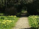 Click image for larger version. 

Name:	Brimstone Butterfly crossing path.JPG 
Views:	460 
Size:	588.4 KB 
ID:	16937