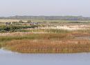 Click image for larger version. 

Name:	Avocet watchers.jpg 
Views:	737 
Size:	401.1 KB 
ID:	17994