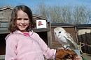 Click image for larger version. 

Name:	Amy with barn owl.jpg 
Views:	470 
Size:	455.7 KB 
ID:	18609