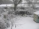 Click image for larger version. 

Name:	back garden - with New Forest in distance.JPG 
Views:	374 
Size:	329.7 KB 
ID:	19001
