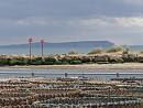 Click image for larger version. 

Name:	1 Looking across The Run towards The Needles.JPG 
Views:	435 
Size:	409.3 KB 
ID:	19241