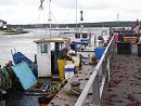 Click image for larger version. 

Name:	3 Landing fish on The Run at Mudeford Quay.JPG 
Views:	462 
Size:	431.6 KB 
ID:	19243