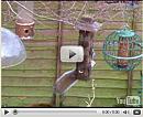 Click image for larger version. 

Name:	squirrel_feeder.jpg 
Views:	434 
Size:	34.8 KB 
ID:	7139