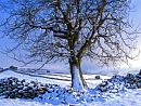 Click image for larger version. 

Name:	Snow-in-Swaledale-1.jpg 
Views:	207 
Size:	309.2 KB 
ID:	7496