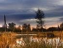 Click image for larger version. 

Name:	Firth-Moor-nature-reserve.jpg 
Views:	270 
Size:	211.3 KB 
ID:	7737