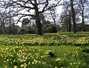 Click image for larger version. 

Name:	Beaulieu dafs 4.JPG 
Views:	397 
Size:	587.5 KB 
ID:	16925