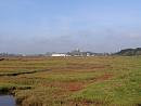 Click image for larger version. 

Name:	1. Looking across the marsh to Priory Church and the posh marina village at priory Quay.JPG 
Views:	619 
Size:	458.2 KB 
ID:	18086