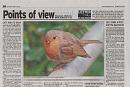 Click image for larger version. 

Name:	Robin in print.jpg 
Views:	154 
Size:	127.0 KB 
ID:	4253