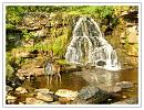 Click image for larger version. 

Name:	waterfall-and-stag.jpg 
Views:	158 
Size:	477.8 KB 
ID:	6042