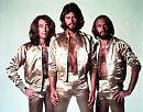 Click image for larger version. 

Name:	beegees.jpg 
Views:	106 
Size:	40.8 KB 
ID:	6950