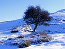 Click image for larger version. 

Name:	Snow-in-Swaledale-2.jpg 
Views:	196 
Size:	218.0 KB 
ID:	7497