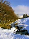 Click image for larger version. 

Name:	Snow-in-Swaledale-3.jpg 
Views:	201 
Size:	214.8 KB 
ID:	7498