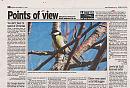 Click image for larger version. 

Name:	Great tit news cutting.jpg 
Views:	140 
Size:	346.7 KB 
ID:	7716