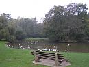 Click image for larger version. 

Name:	New Milton Duck Pond.jpg 
Views:	322 
Size:	178.5 KB 
ID:	8617