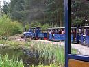 Click image for larger version. 

Name:	Exbury Garden Railway.jpg 
Views:	152 
Size:	215.1 KB 
ID:	9295